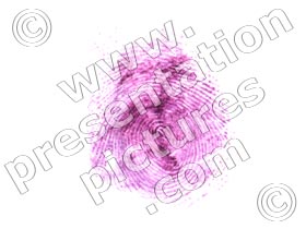 fingerprint - powerpoint graphics