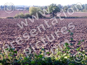 ploughed field - powerpoint graphics