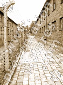 auschwitz fence - powerpoint graphics