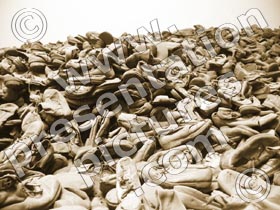 auschwitz shoes - powerpoint graphics