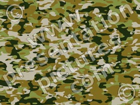 camouflage brown - powerpoint graphics