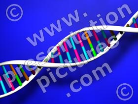 dna - powerpoint graphics