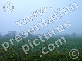 fog - powerpoint graphics