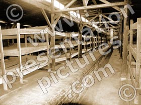 inside birkenau huts - powerpoint graphics