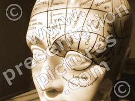 phrenology head - powerpoint graphics