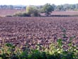 ploughed field - powerpoint graphics