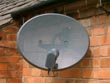 satellite dish - powerpoint graphics