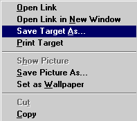 Choose Save Target As.....